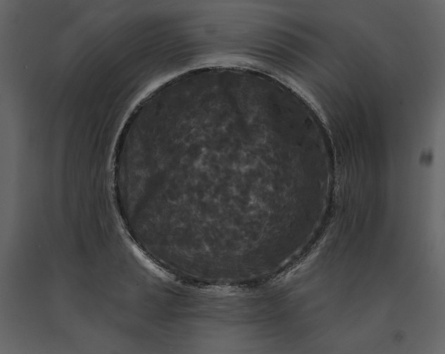 X0000091171037200708231501