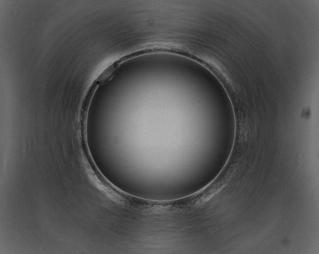 X0000091171038200708231501