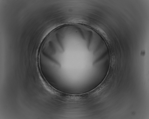 X0000091171039200708231501