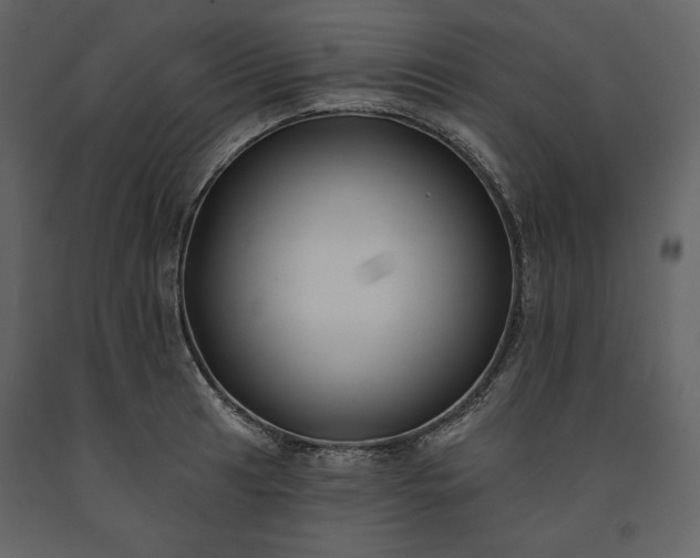 X0000091171041200708231501