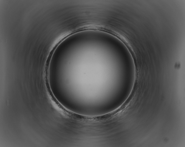 X0000091171042200708231501