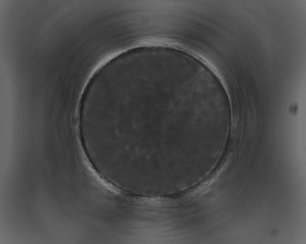 X0000091171045200708231501