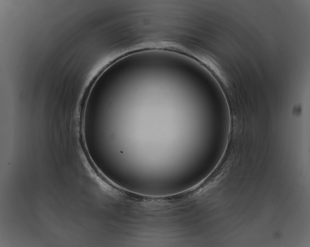 X0000091171046200708231501