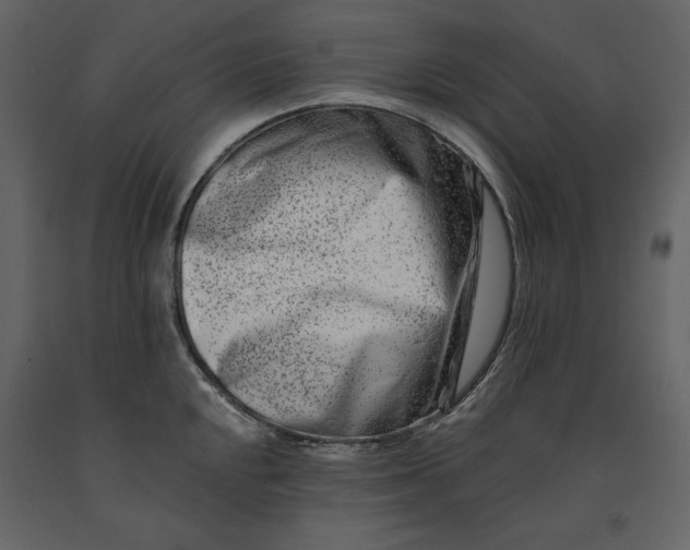 X0000091171048200708231501