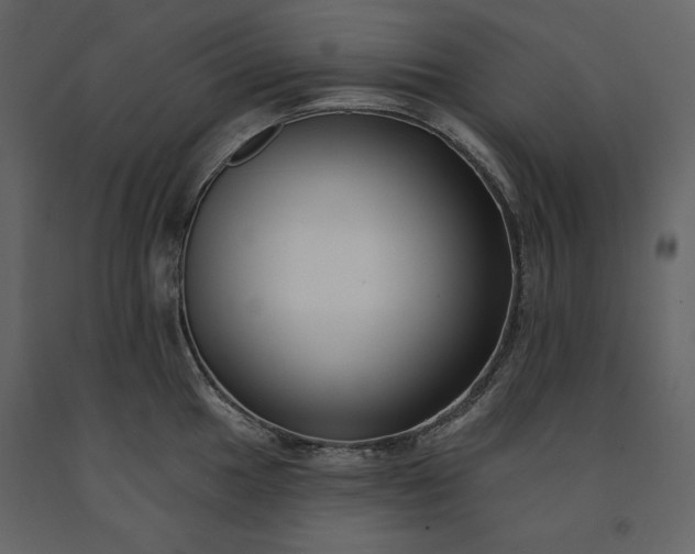 X0000091171049200708231501