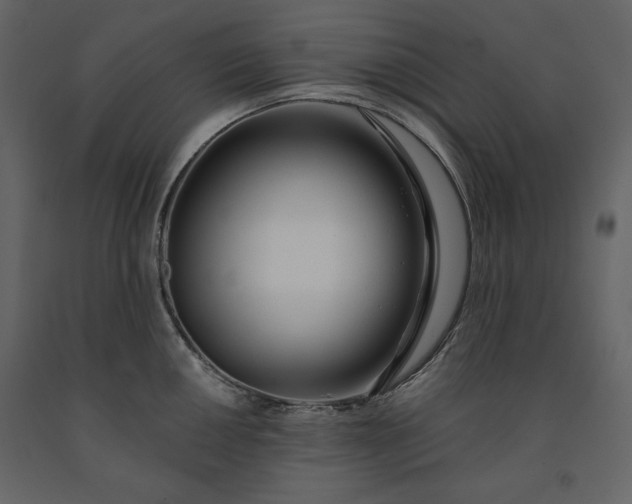 X0000091171050200708231501