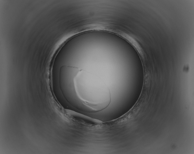 X0000091171051200708231501