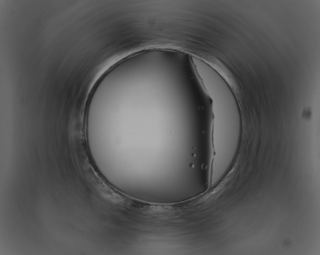 X0000091171052200708231501