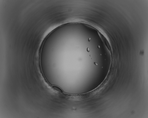 X0000091171053200708231501