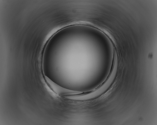 X0000091171054200708231501