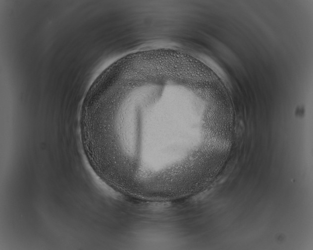 X0000091171055200708231501