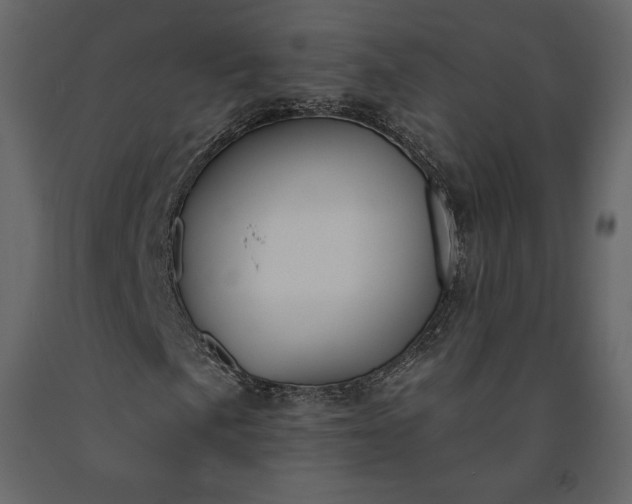 X0000091171057200708231500