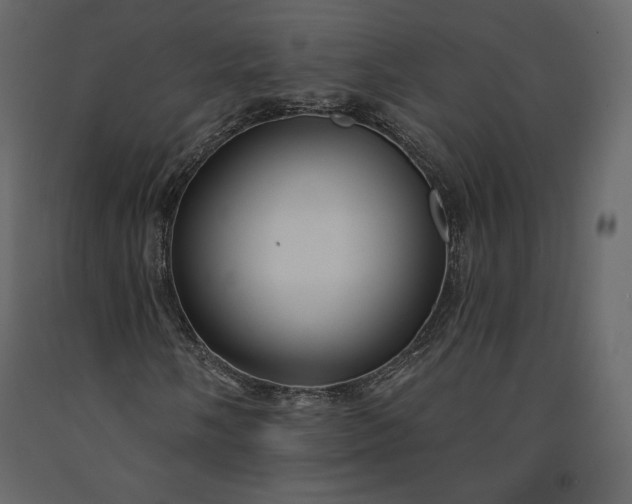 X0000091171058200708231500