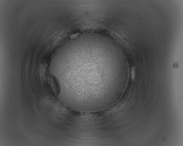 X0000091171059200708231500