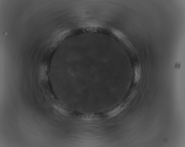 X0000091171060200708231500