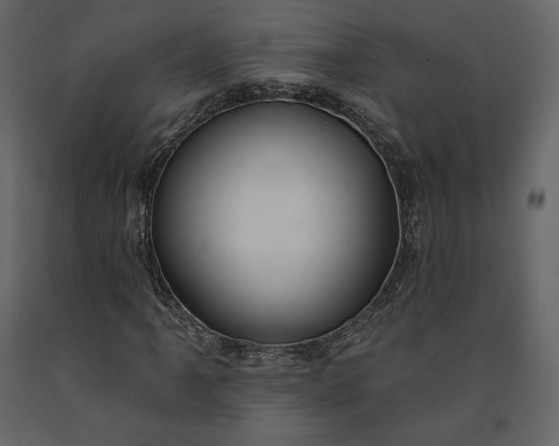 X0000091171061200708231500