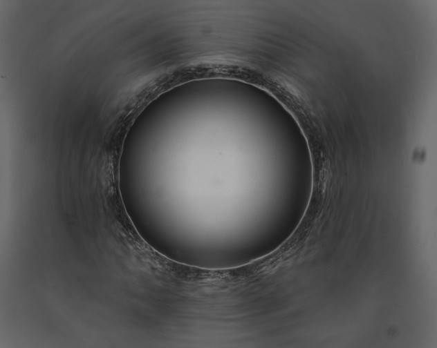 X0000091171062200708231500