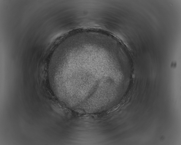 X0000091171063200708231500