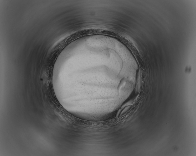 X0000091171064200708231500