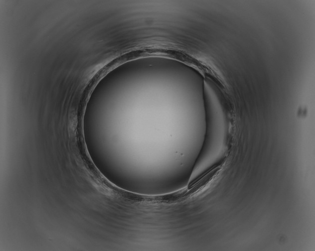 X0000091171065200708231500