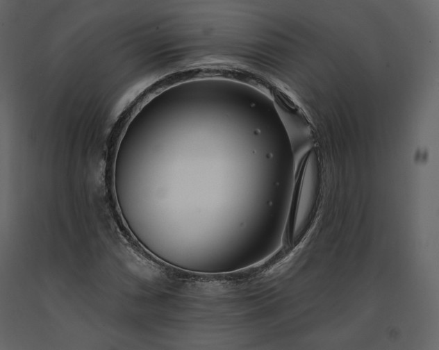 X0000091171066200708231500