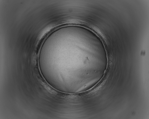 X0000091171067200708231500