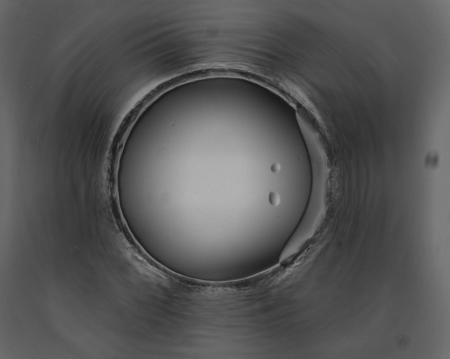 X0000091171068200708231500