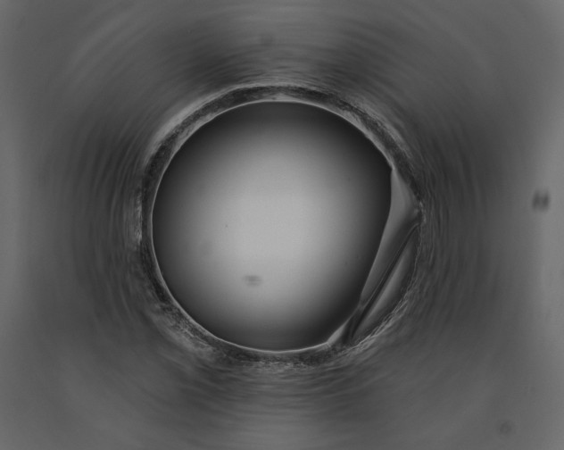 X0000091171069200708231500