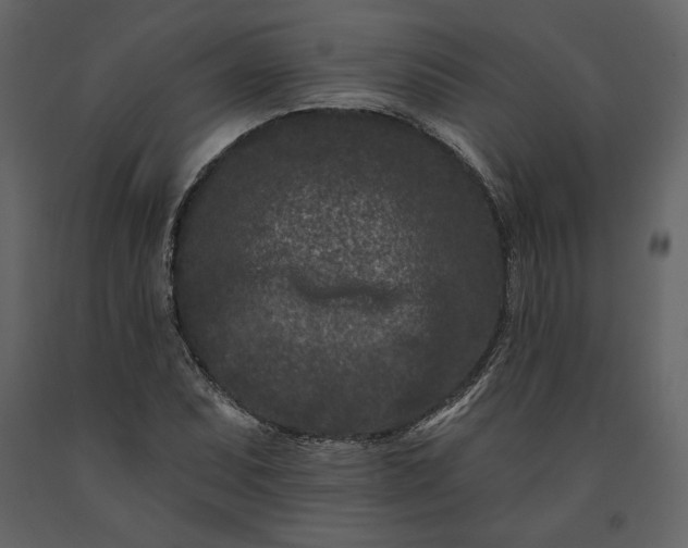 X0000091171071200708231500