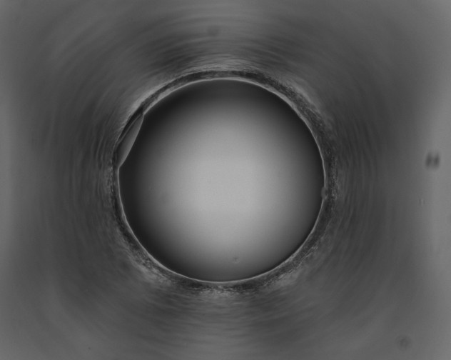 X0000091171073200708231500