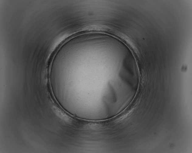 X0000091171075200708231500