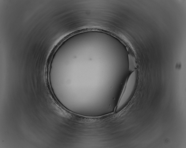 X0000091171076200708231500