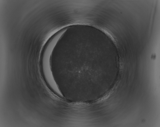 X0000091171077200708231500