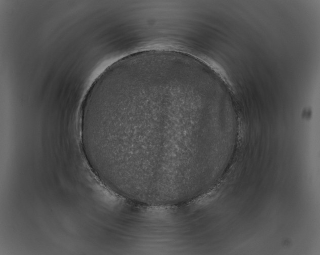 X0000091171078200708231500