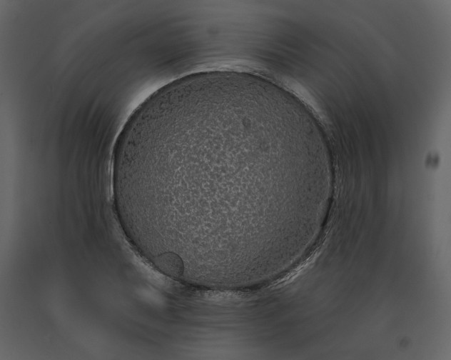 X0000091171079200708231500