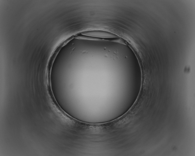 X0000091171080200708231500