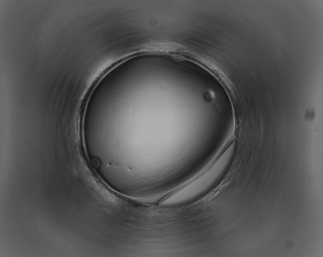 X0000091171083200708231500