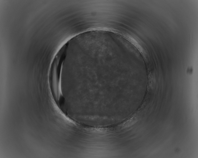 X0000091171084200708231500