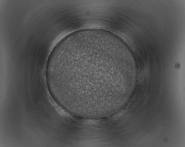 X0000091171086200708231500