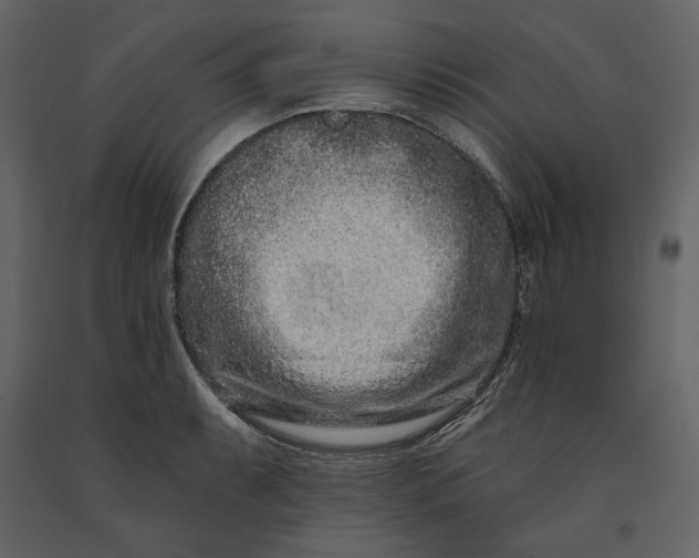 X0000091171087200708231500