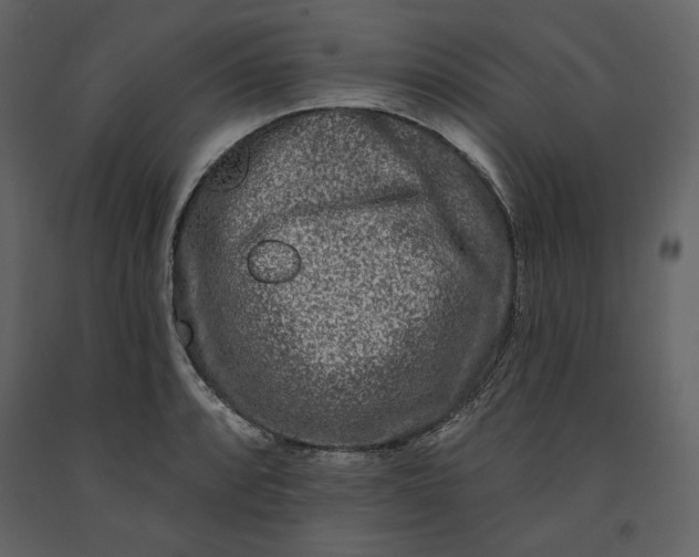 X0000091171088200708231500