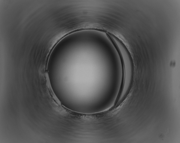 X0000091171089200708231500