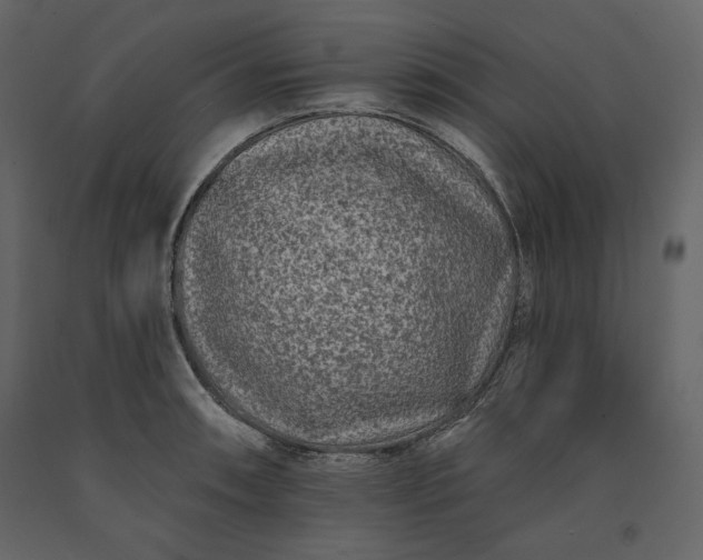 X0000091171090200708231500