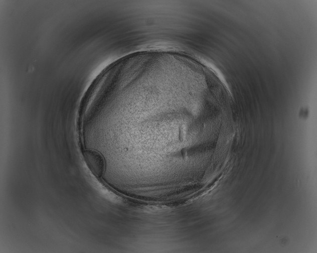 X0000091171091200708231500