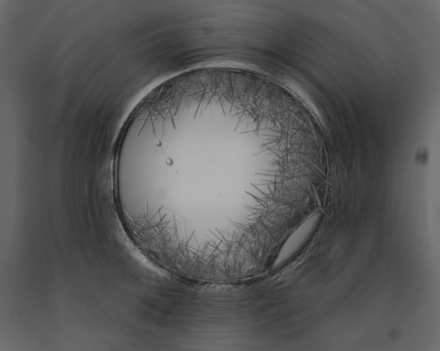 X0000091171092200708231500