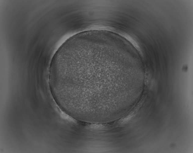 X0000091171094200708231500