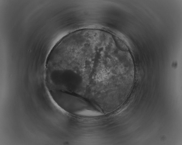 X0000091171095200708231459