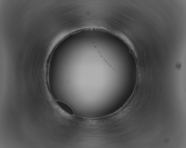 X0000091171096200708231459