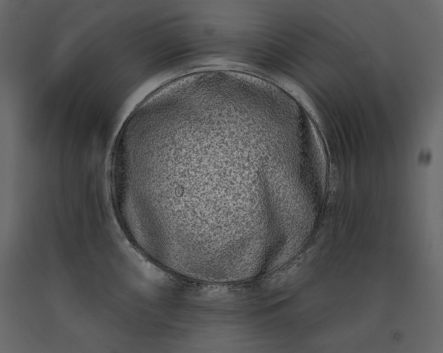 X0000091171098200708231459