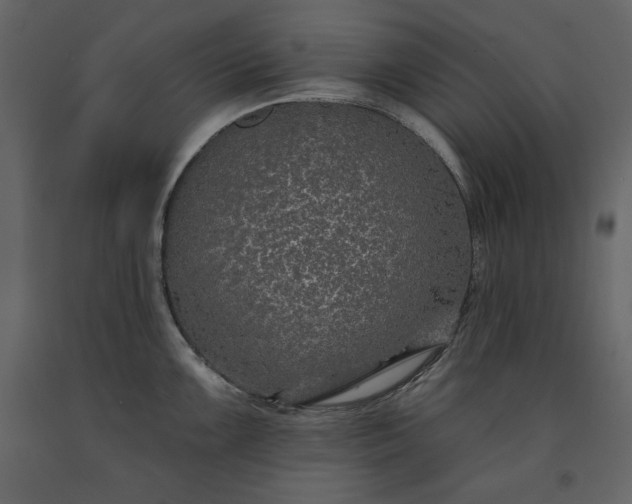 X0000091171099200708231459